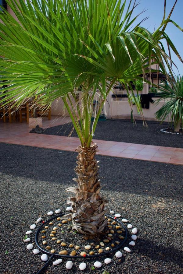 Villa The Wind'S Breath, Perfect For Relaxing Getaway La Oliva Exterior foto
